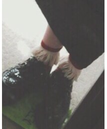 靴下屋 | ソックス/靴下