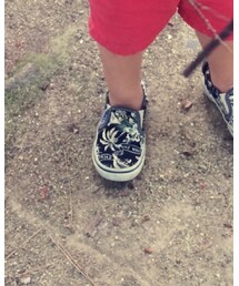 VANS | その他シューズ