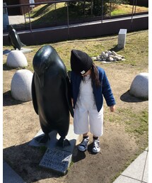 Penguin | その他