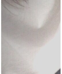 PRO CLUB  | Tシャツ/カットソー