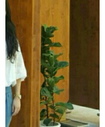 SKAGEN | アナログ腕時計