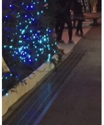 marimekko | トートバッグ