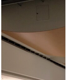 AVIREX | パーカー