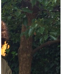 GU | ジャケット/アウター