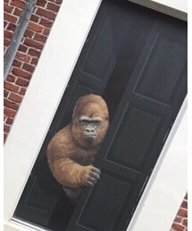 HARE | シャツ/ブラウス