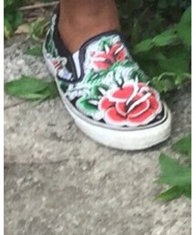 VANS | Ed Hardey 1st edition -Leather (その他シューズ)