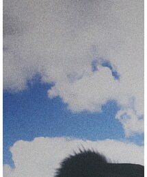 VETEMENTS | カバーオール