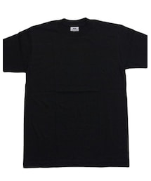 PRO CLUB  | Tシャツ/カットソー