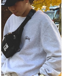 STUSSY | スウェット