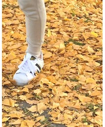 adidas | スニーカー