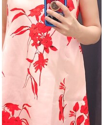 Ted Baker | ジャンパースカート
