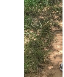 AIR JORDAN | シューズ