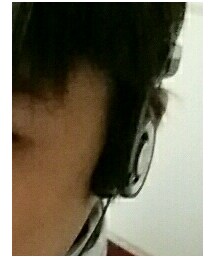 Koss | その他雑貨