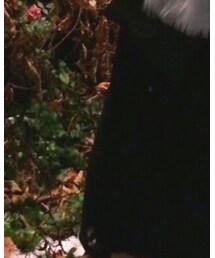 H&M DIVIDED | ワンピース