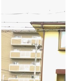 adidas | アナログ腕時計