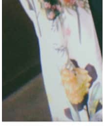 ZARA | その他アウター