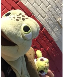 Disney | クラッシュとスクワート(コスチューム/パーティーグッズ)