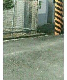 no brand | Tシャツ/カットソー