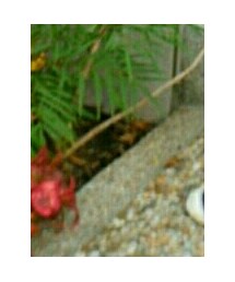 UNIQLO | レギンス/スパッツ