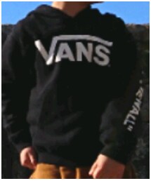 VANS | パーカー