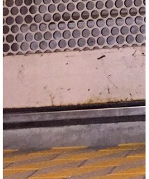 Paraboot | シューズ