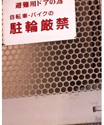 Bshop | シャツ/ブラウス