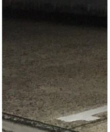 UNITED ARROWS | スラックス