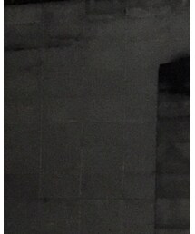 Inpaichthys kerri | シャツ/ブラウス