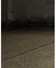 JAPAN BLUE JEANS | デニムパンツ