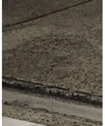 Paraboot | シューズ