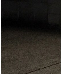 VINTAGE | Tシャツ/カットソー