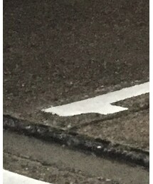 RED WING 最終犬タグ | ブーツ