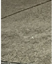 Paraboot | シューズ