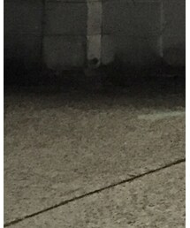 JAPAN BLUE JEANS | その他パンツ