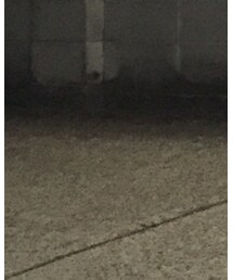 JAPAN BLUE JEANS | デニムパンツ