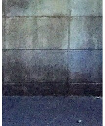 BEAUTY&YOUTH UNITED ARROWS | スラックス