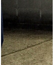 used | デニムパンツ