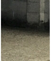 RRL | チノパンツ