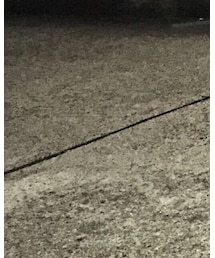 Paraboot | シューズ