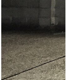 Levi's | デニムパンツ