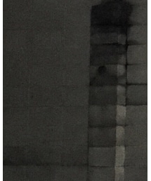 TEMBEA | トートバッグ