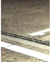 SASSAFRAS | カーゴパンツ