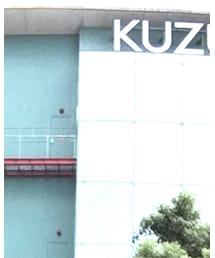 Ray-Ban | サングラス