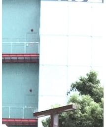 Champion | Tシャツ/カットソー