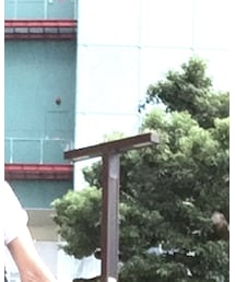 cadence | その他パンツ