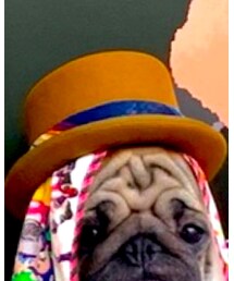 OVERRIDE | ハット