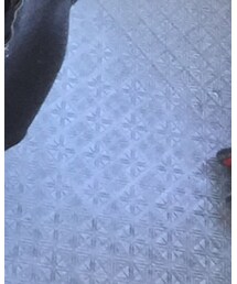 adidas | スニーカー