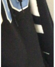 Champion | スウェット