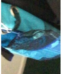 メキシコで買った | トートバッグ