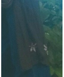 E hyphen world gallery | カーディガン/ボレロ